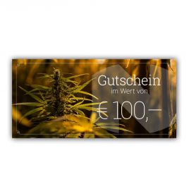 Gutschein im Wert von EUR 100,-