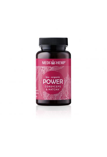 MEDIHEMP Power Cordyceps-militaris-Hatcha Kapseln, 120 Stk, braune Dose mit himbeerfarbenen Etikett