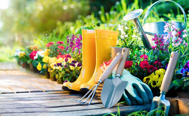 Die Gartensaison ist eröffnet