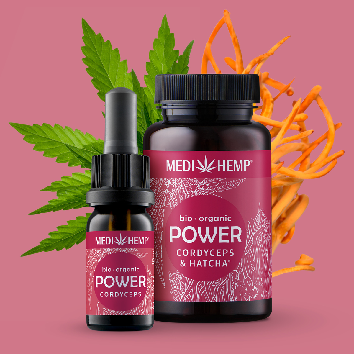 Bio POWER Cordyceps-Extrakt & Hanf