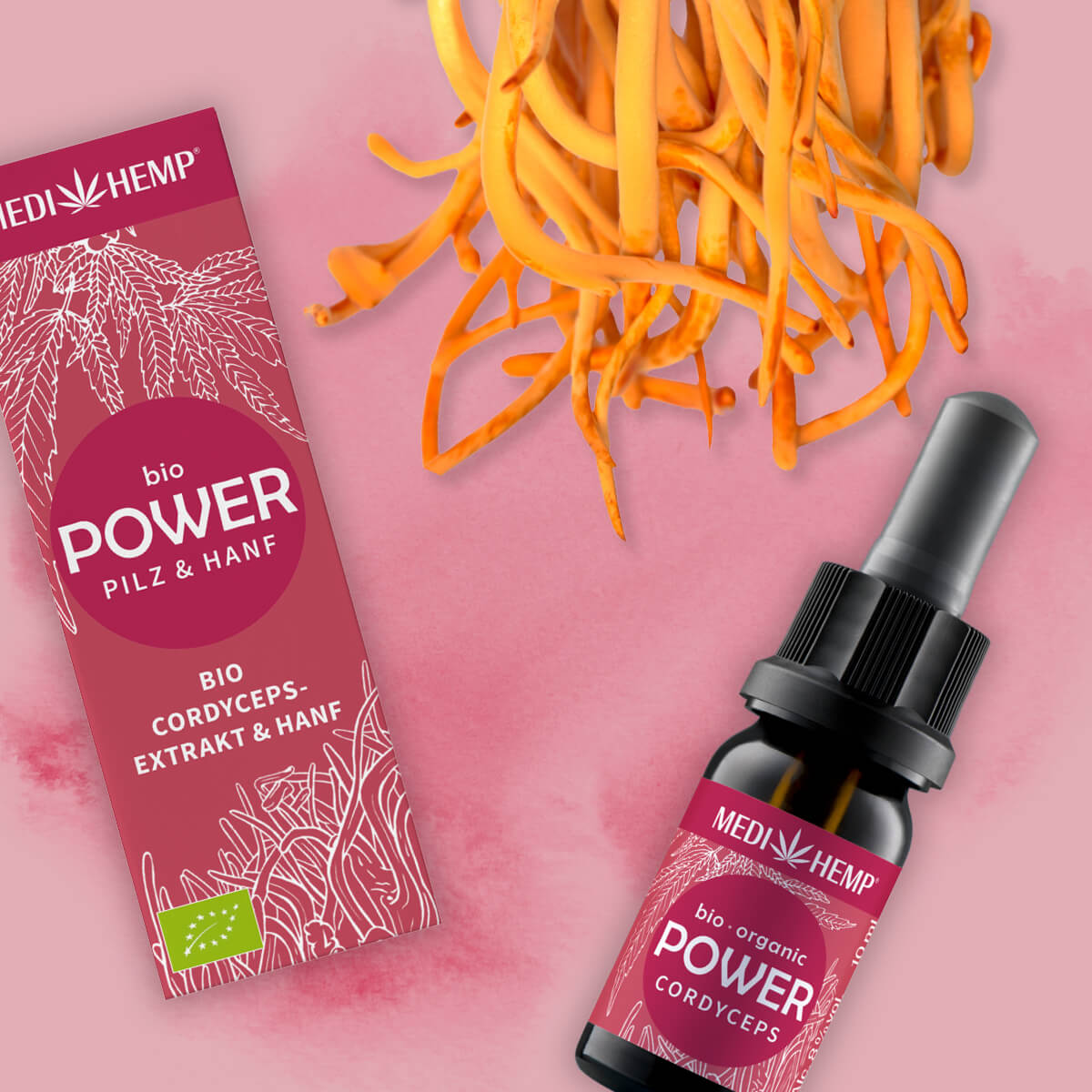 Bio POWER Cordyceps militaris-Extrakt & Hanf