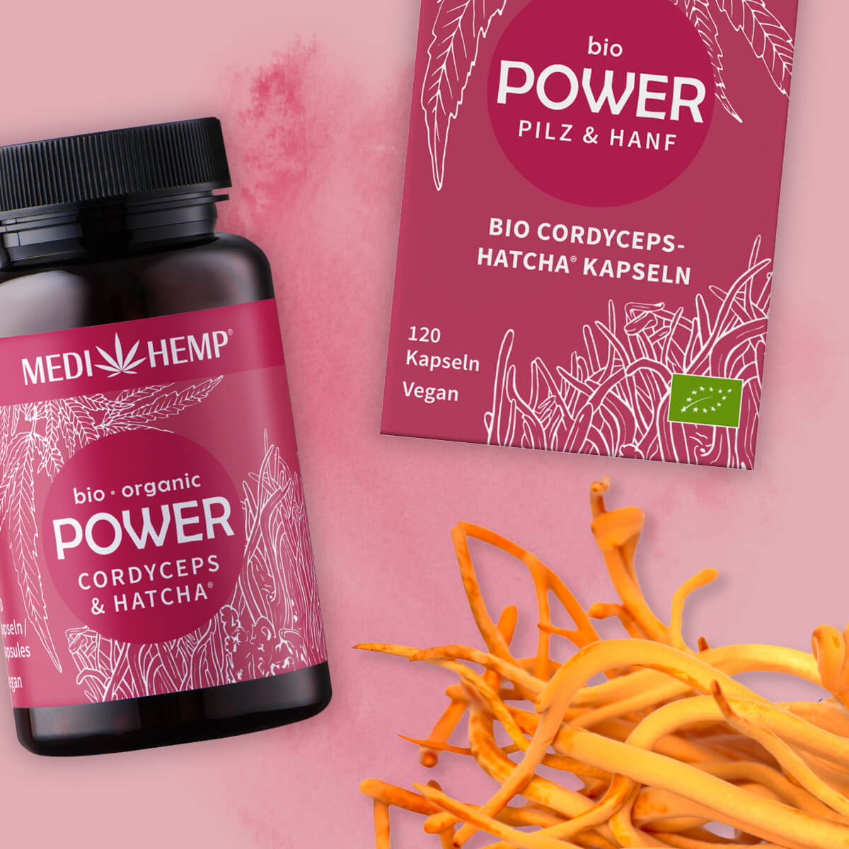 Bio POWER Cordyceps militaris Kapseln