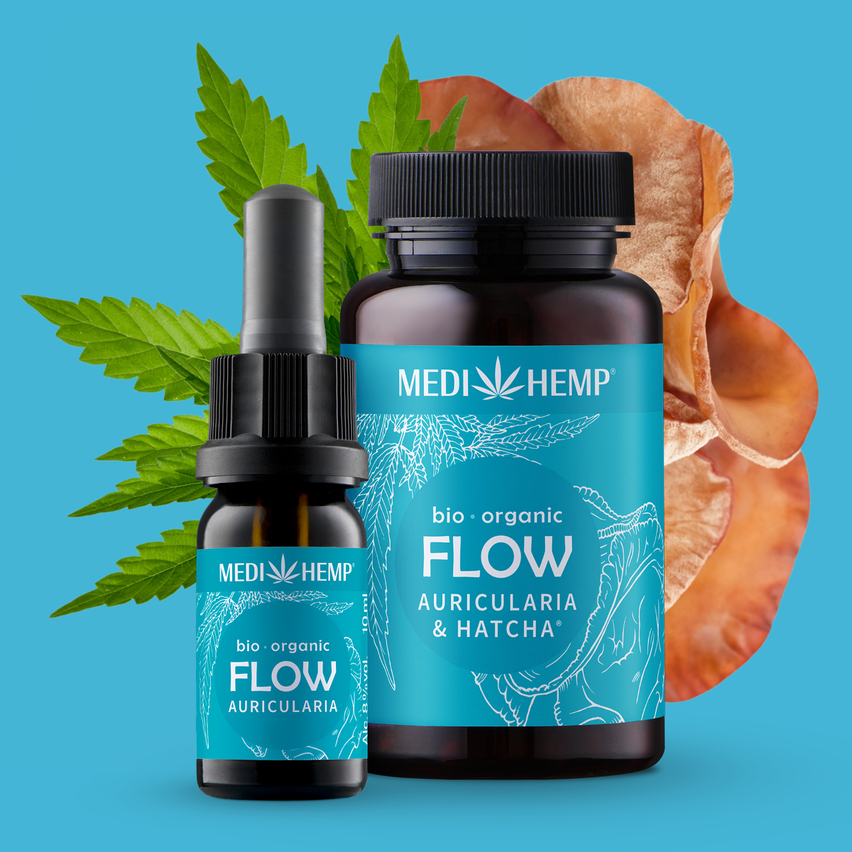 Bio Flow Auricularia-Extrakt & Hanf